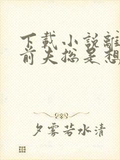 下载小说离婚后前夫总是想追我