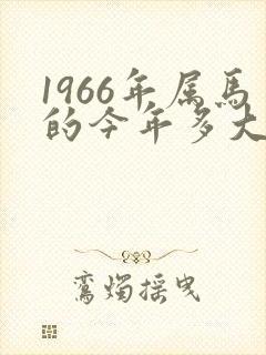 1966年属马的今年多大岁数了