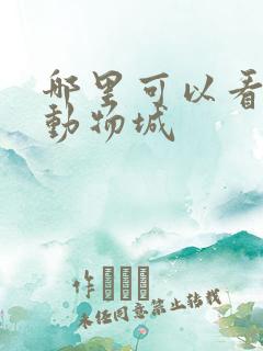 哪里可以看疯狂动物城