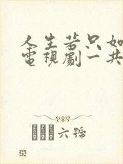 人生若只如初见电视剧一共多少集