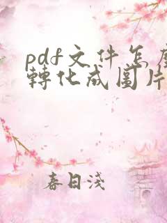 pdf文件怎么转化成图片
