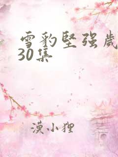 雪豹坚强岁月第30集