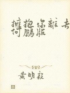 拥抱你离去dj何鹏版