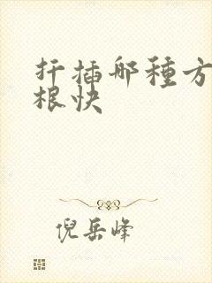 扦插哪种方法生根快