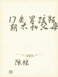 17岁男孩叛逆期不和父母沟通怎么办
