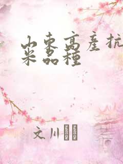 山东高产抗倒玉米品种