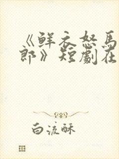 《鲜衣怒马少年郎》短剧在线观看