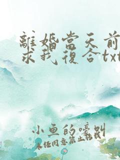 离婚当天前夫跪求我复合txt下载
