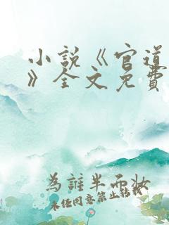 小说《官道红颜》全文免费阅读