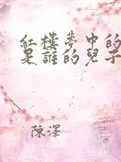 红楼梦中的贾瑞是谁的儿子