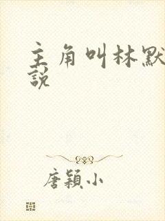 主角叫林默的小说