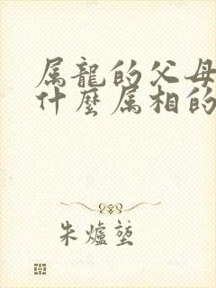 属龙的父母生个什么属相的宝宝好