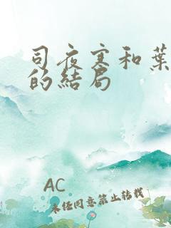 司夜寒和叶绾绾的结局