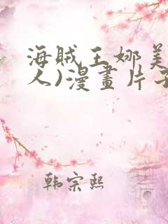 海贼王娜美(同人)漫画片子
