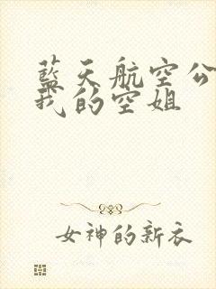 蓝天航空公司之我的空姐