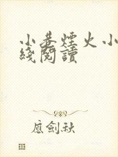 小巷烟火小说在线阅读