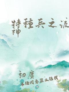 特种兵之流氓军神