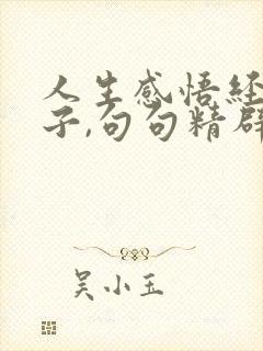 人生感悟经典句子,句句精辟入骨