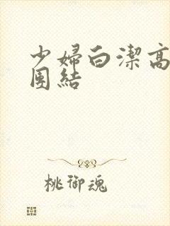 少妇白洁高义大团结