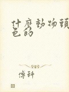 什么动物头是红色的