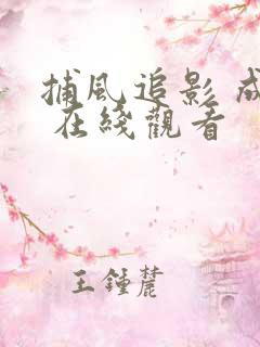 捕风追影 成龙 在线观看