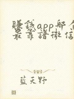 赚钱app哪个最靠谱微信