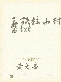 王铁柱山村小神医txt