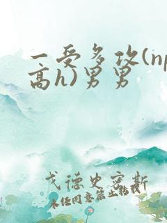 一受多攻(np高h)男男