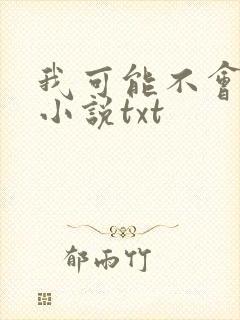 我可能不会爱你小说txt