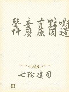 声音有点嘶哑是什么原因造成的