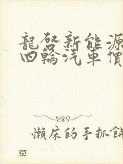 龙启新能源电动四轮汽车价格