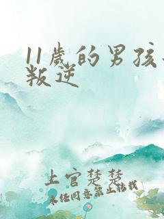 11岁的男孩子叛逆