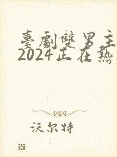 台剧双男主推荐2024正在热播的剧
