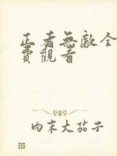 正者无敌全集免费观看