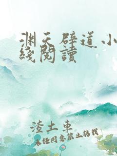 渊天辟道小说在线阅读