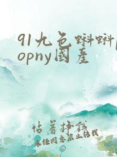 91九色蝌蚪popny国产