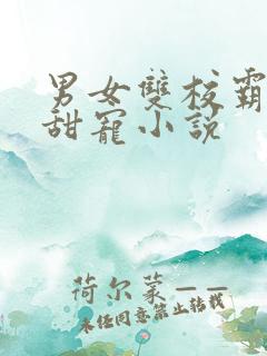 男女双校霸校园甜宠小说
