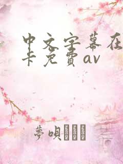 中文字幕在线不卡免费av