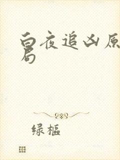 白夜追凶原著结局