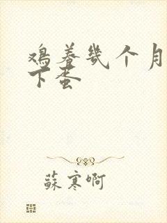鸡养几个月可以下蛋