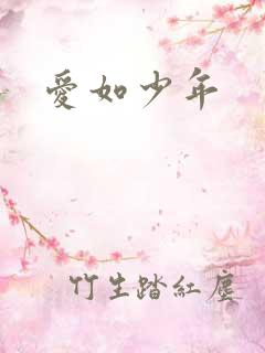 爱如少年