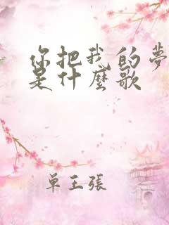你把我的梦带走是什么歌