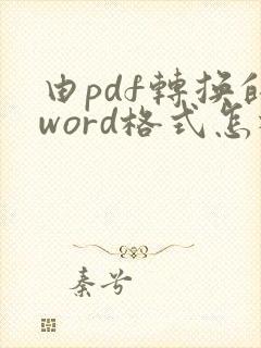 由pdf转换的word格式怎样调整