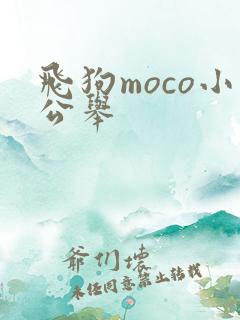 飞狗moco小公举