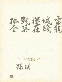 孤战迷城电视剧全集在线观看免费
