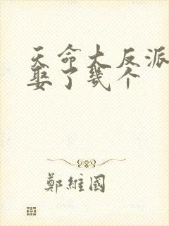 天命大反派结局娶了几个