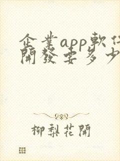 企业app软件开发要多少钱