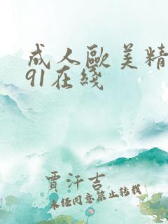成人欧美精品大91在线