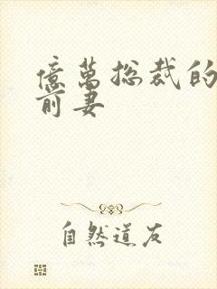 亿万总裁的天价前妻