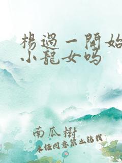 杨过一开始喜欢小龙女吗